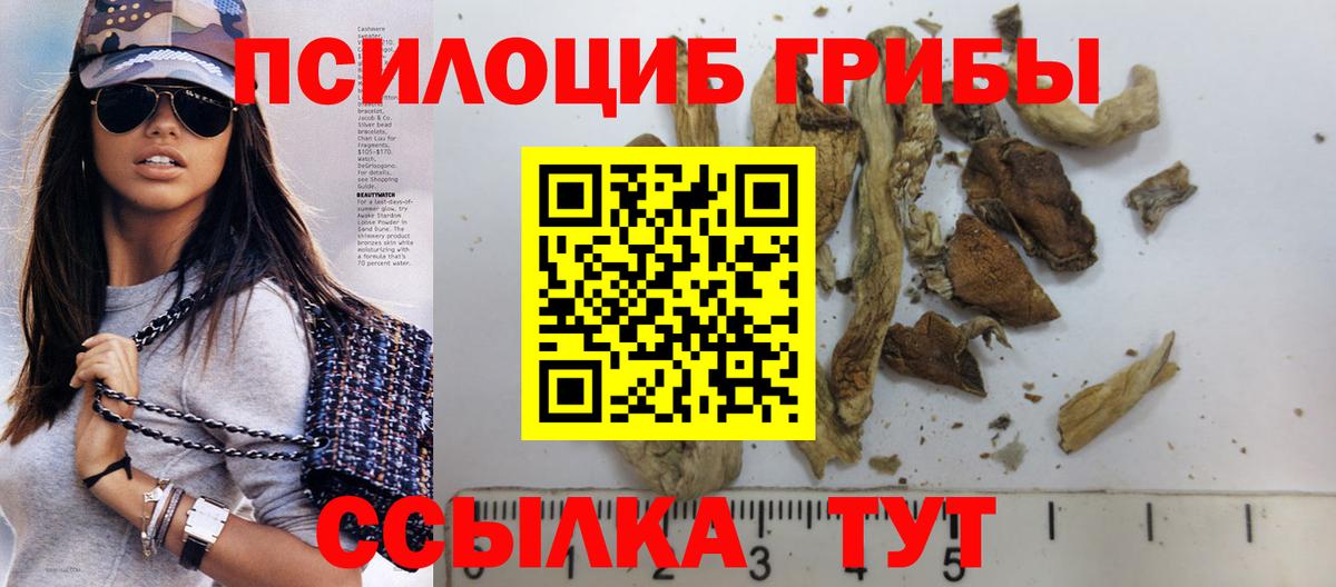 Галлюциногенные грибы прущие грибы  Вход с VPN  Галлюциногенные грибы мухоморы  Тавда 